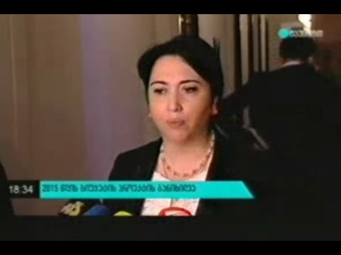 პარლამენტში ადამიანის უფლებათა დაცვის კომიტეტში 2015 წლის ბიუჯეტი განიხილეს