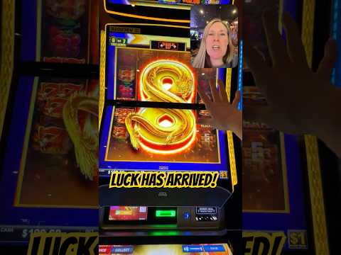 Qu'est-ce que l'Offre LikesBet Free Spins sur les Nouvelles Sorties ?