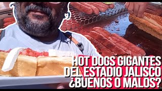 VBLOG DOGOS GIGANTES DEL ESTADIO JALISCO