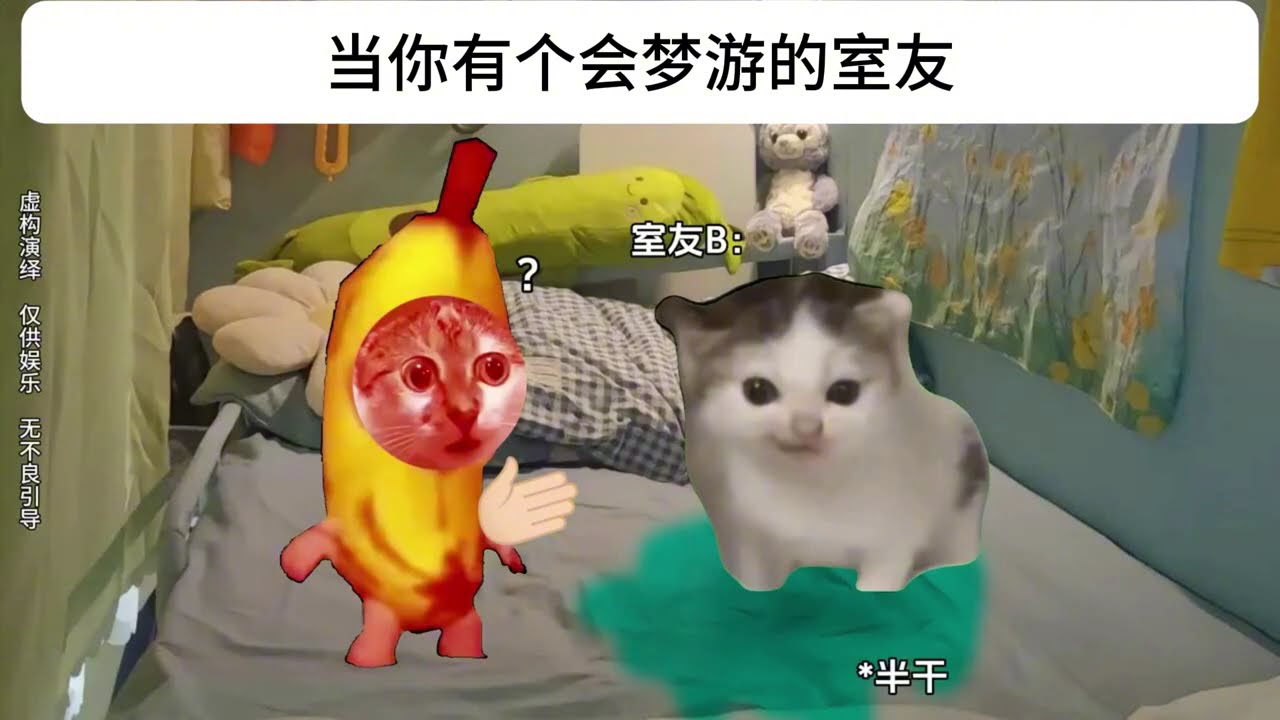 当你有个会梦游的室友#有趣 #故事 #貓 #猫猫meme小剧场 #猫meme #内容过于真实  #猫meme剧场 #喵不可言