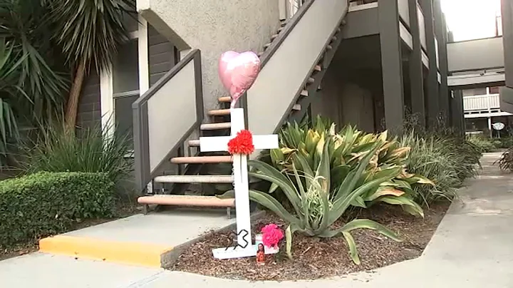 'Shocking': Off-duty deputy under investigation after roommate shot and killed