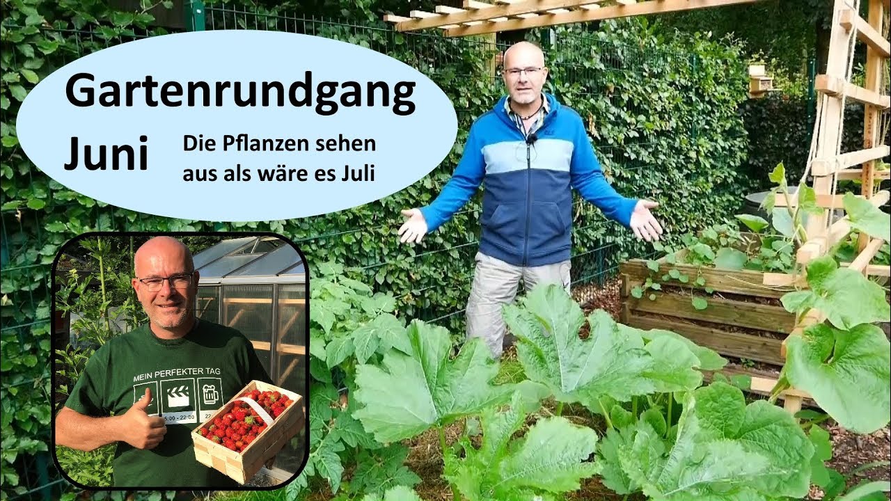 Gartenrundgang Juni - jetzt geht es richtig los :-)