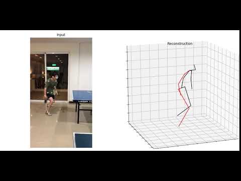Test of VideoPose3D python