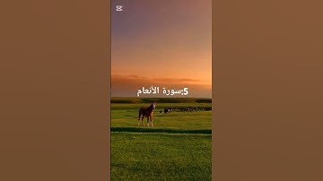 5:مقطع من سورة الأنعام
