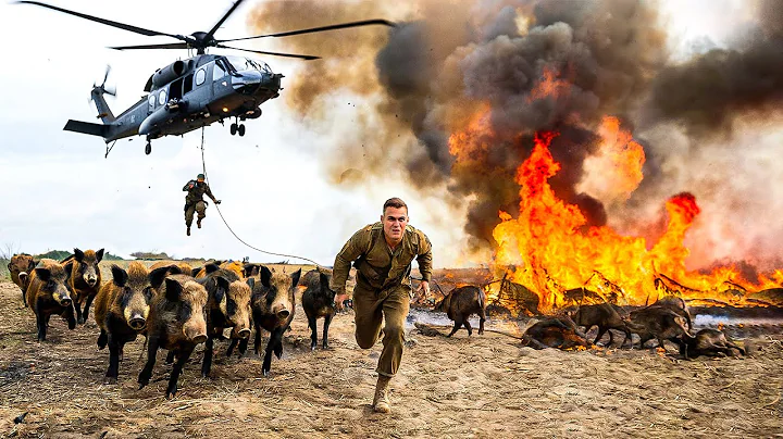 How Texas Farmers and Hunters Deal with Millions of Wild boars Attacking  Fields | Wild Boar Hunting