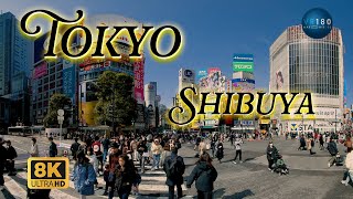 Shibuya Crossing 東京 渋谷 スクランブル交差点 VR180 Travel Japan 8K60P