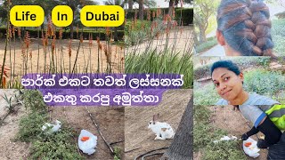 දැන් නම් ලස්සන දකිද්දි ඩුබායි කියල හිතාගන්නවත් බෑ/Dubai life sri lanka/dubai vlog sri lanka #blog