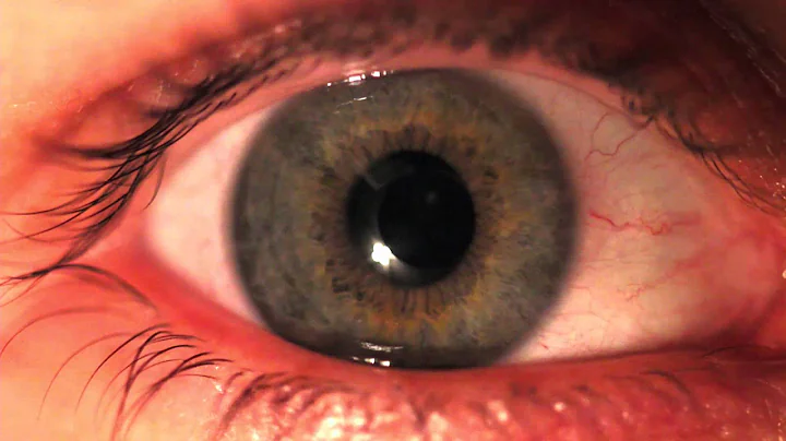 The eye shows the first concept to understand Aper...