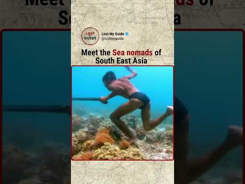 Meet the Sea