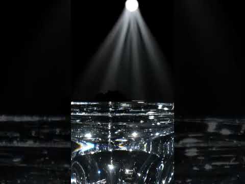 کاسه خاویار      