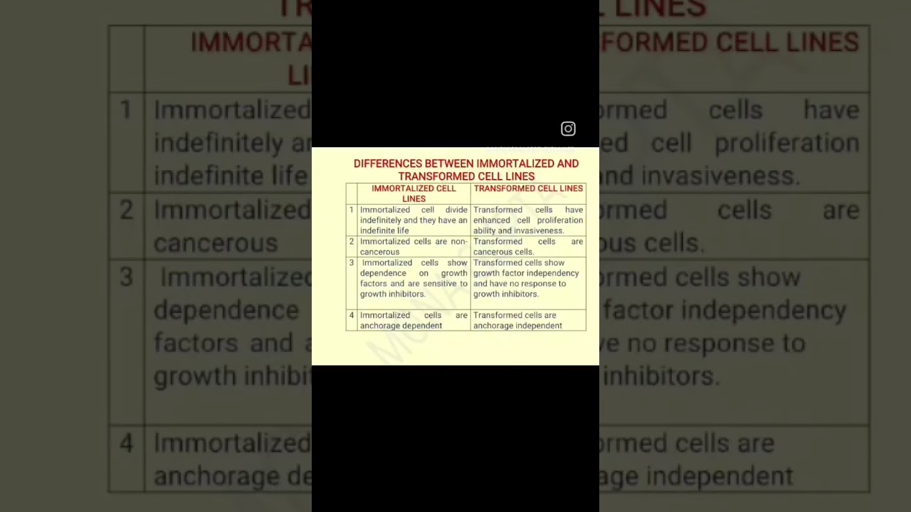 Differences between Immortal and Transformed Cell Lines...