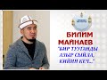 Билим Майнаев: &quot;Бир тууганды азыр сыйла, кийин кеч...&quot;