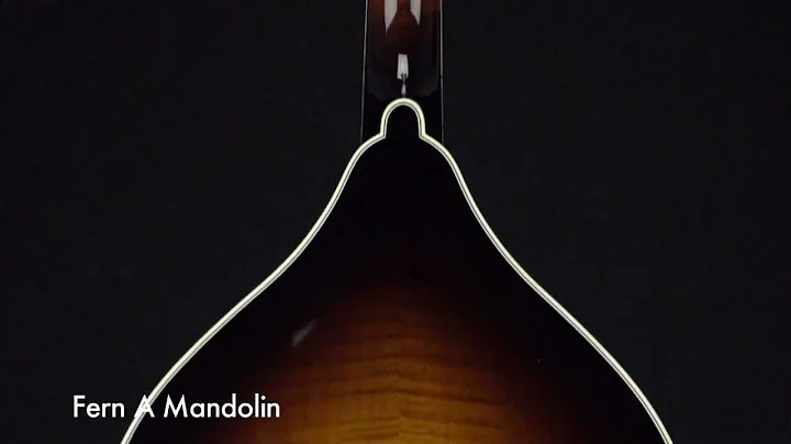 Weber Fine Acoustic Instruments: Fern A Mandolin