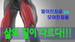 [좌골압축] 건강의 차이까지 만드는🔔벌어진 좌골 vs 모아진 좌골🔔 / 무엇 때문에 벌어지거나 모아진 좌골이 될까?