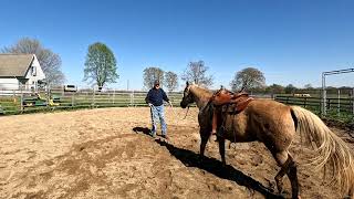 Jacks Introduction to the Saddle