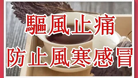 五神茶能防止風寒感冒（國醫介紹）最宜冬天用（冬季養生湯水46） - 天天要聞