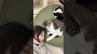 添い寝してくれる親子猫！