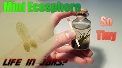 life in a jar play