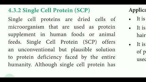 12 std Bio Botany chapter- 4 Principles and Processes of Biotechnology (SCP)