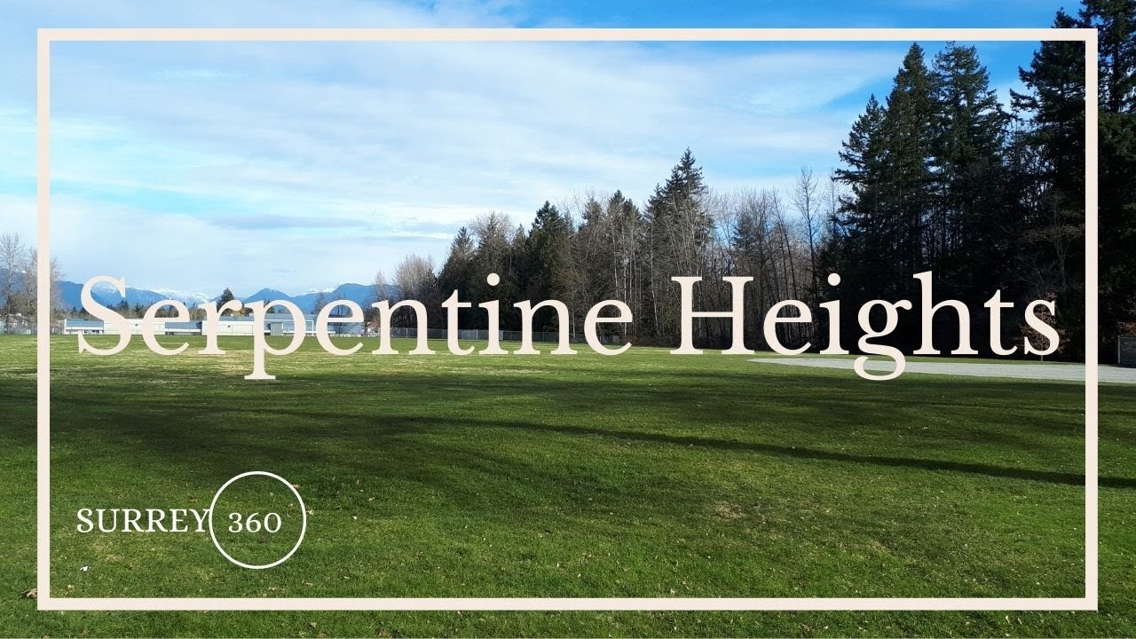 Surrey - Serpentine Heights - Open field walk - March 9, 2021 - 