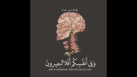 وَفِي أَنفُسِكُمْ ۚ أَفَلَا تُبْصِرُونَ - سورة الذاريات (قرآن كريم)