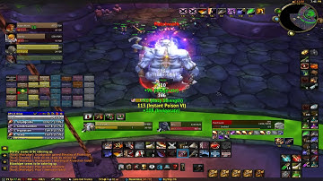 Certus Excessum vs Patchwerk (Rogue POV)