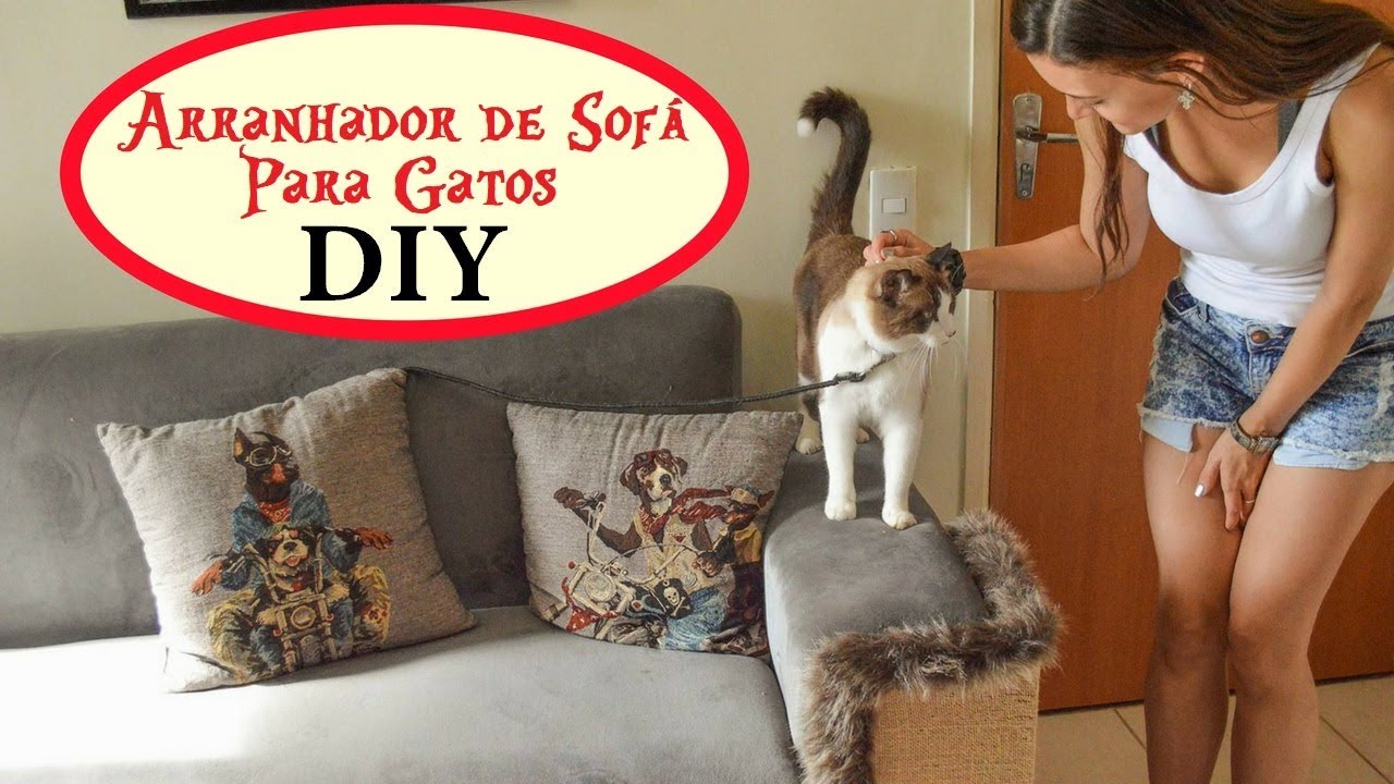 Arranhador de sofá para gatos DIY 😻 - thptnganamst.edu.vn