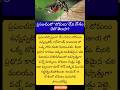 #GeneralKnowledge #Iceland #MosquitoFree #TeluguFacts #Shorts