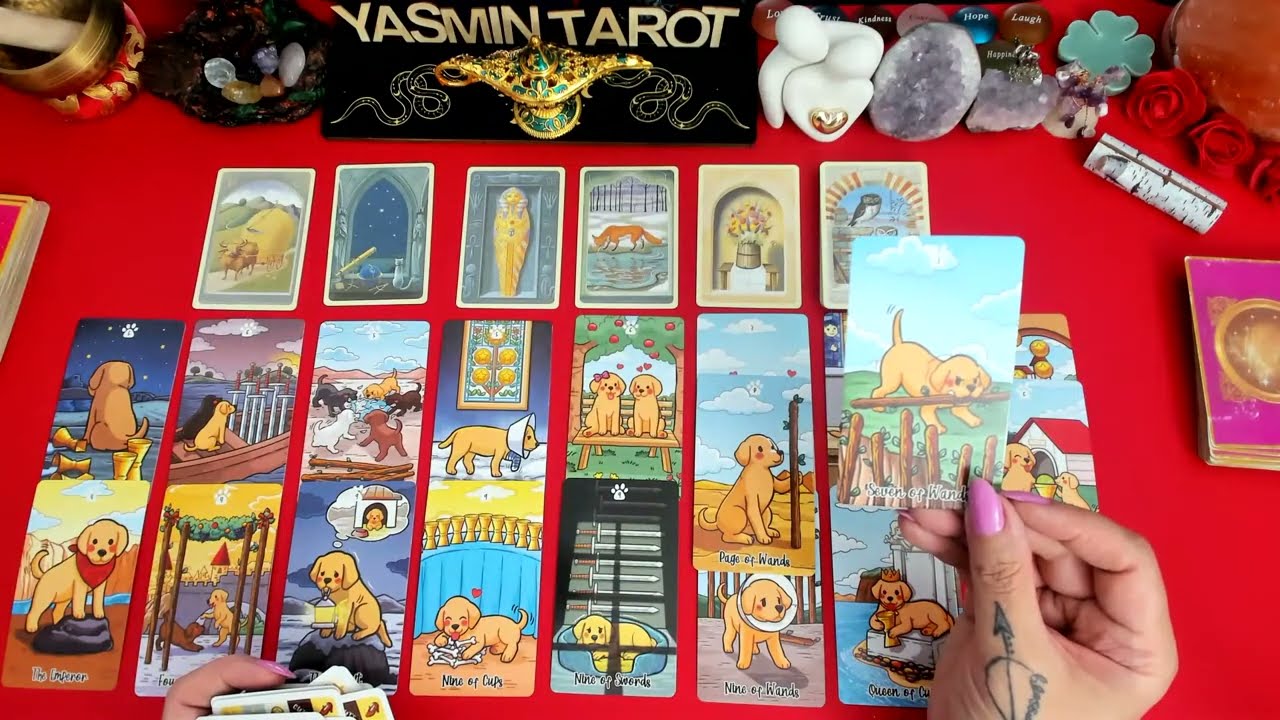 فال احساسی امروزت رو از دست نده! رازهای پنهان آشکار میشه