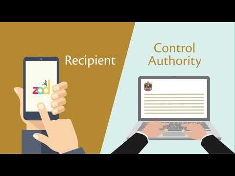 Infographic Video - Service Video 5 - ZAD - English