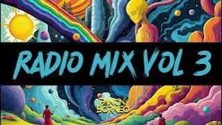PANCA BORNEO RADIO MIX VOL 3