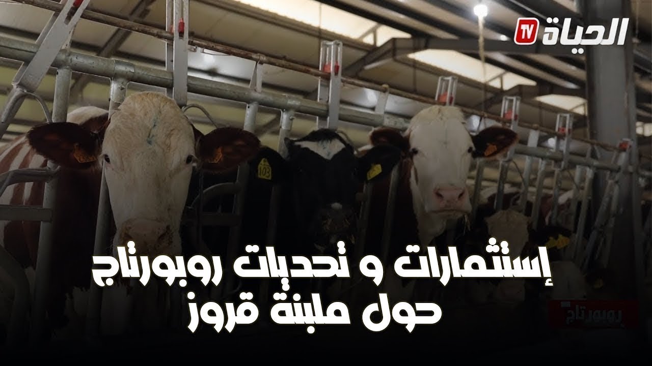 ملبنة قروز.. استثمارات واعدة وتحديات في صناعة الألبان