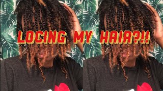 Starting Locs at home