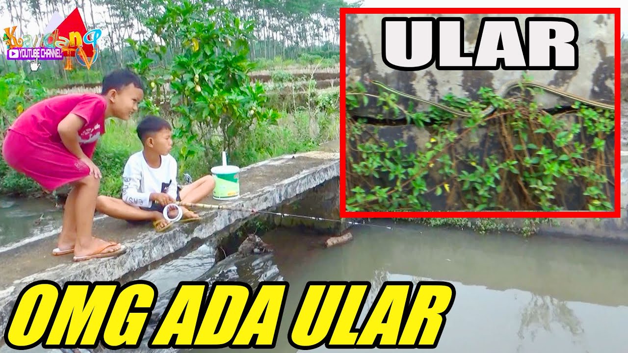 ASTAGA Bocah Mancing  Ikan Auto Ada Ular anak  kecil 