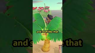 Animal Crossing shouldnt burn you out
