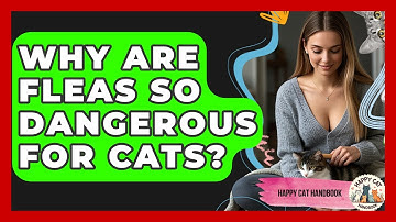 Why Are Fleas So Dangerous For Cats? - Happy Cat Handbook