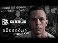 Kim berglund145 ddsdmd i thailand dialogiskt