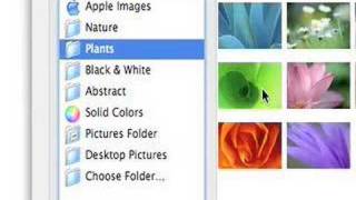 The Mac Desktop Tutorial for beginners : System Preferences