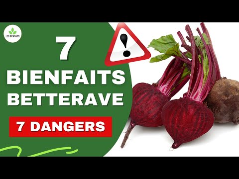 Vidéo: Traitement des betteraves avec la brûlure méridionale - Comment prévenir la brûlure méridionale des betteraves