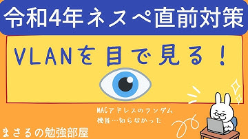 【ネスペ22年 #12】VLANを目で見る