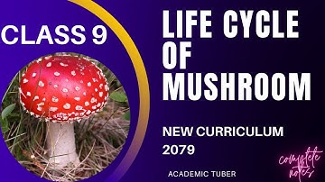 CLASS 9 | LIFE CYCLE OF MUSHROOM | SCIENCE AND TECHNOLOGY | NEW CURRICULUM 2079 | COMPLETE NOTE