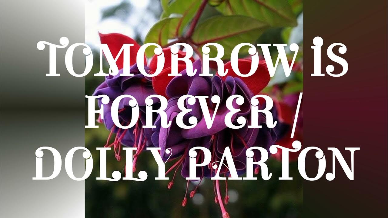 dolly parton/tomorrow is forever/ lyrics. - YouTube