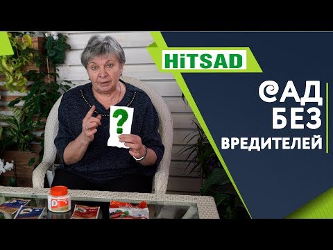 КАК избавиться от ВРЕДИТЕЛЕЙ Плодовых деревьев &#55356;&#57167; Советы от Хитсад ТВ