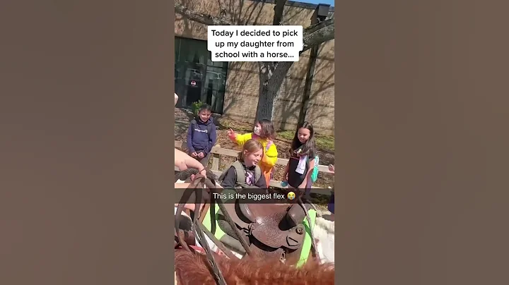 They picked up their daughter from school with a HORSE! 😂 - DayDayNews