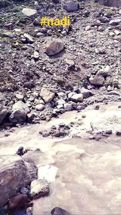 नदी// #shorts #नदी #nadi #short #shortvideo #travel #ytshorts #mountains #kedarnath #reels #trending