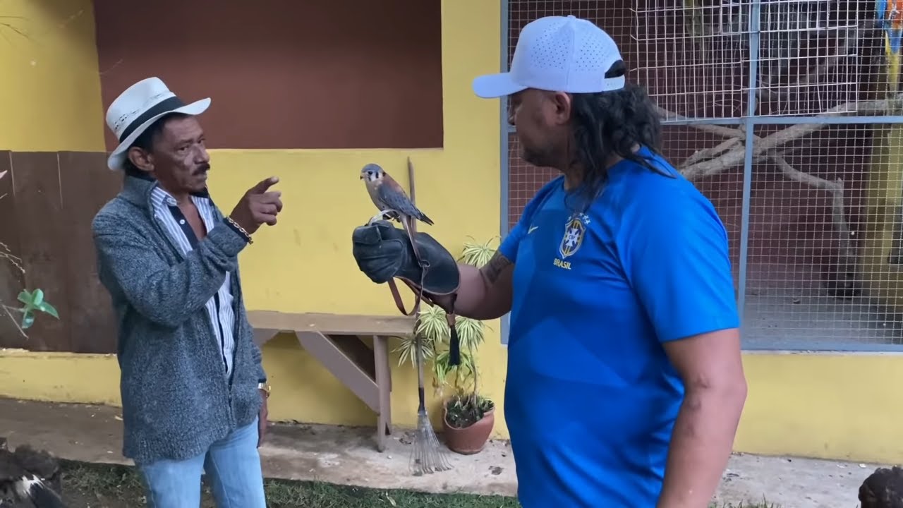 quiri quiri quiri quiri
