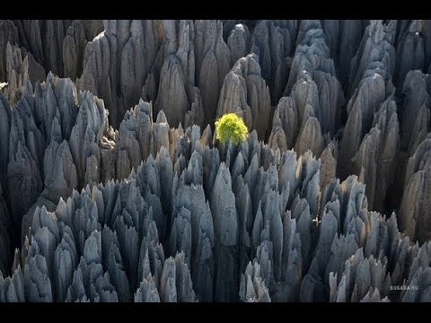 Video: Posjet Nacionalnom Parku Tsingy De Bemaraha Na Madagaskaru