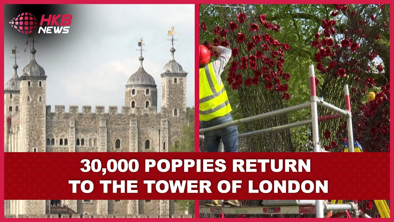 The Tower Remembers: A Sea of Poppies for VE Day 80 | Poppies Anniversary | HKB News