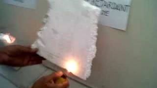 Burn Test: Regular vs Flame retardant EPS (styrofoam)