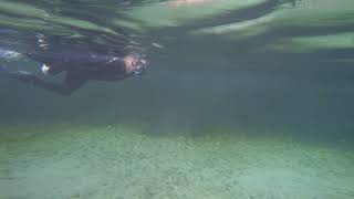 Snorkeling where Ginnie Springs water meets the Tannic Sante Fe River